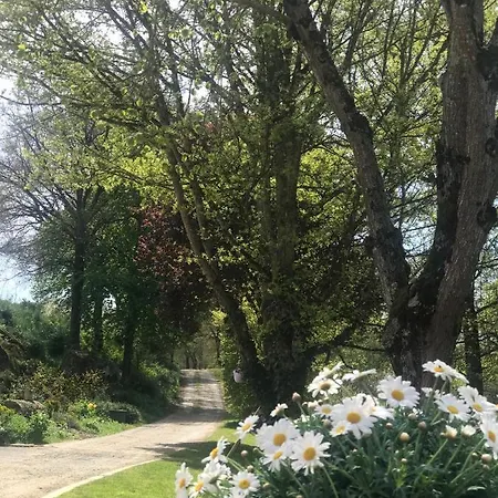 Holiday home Moulin De Rochoux - Puy Du Fou Saint-Clementin