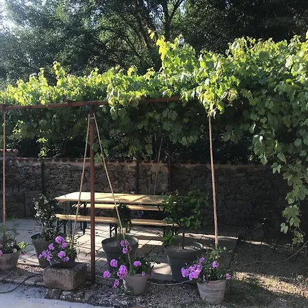 Feriehus Moulin De Rochoux - Puy Du Fou Saint-Clementin