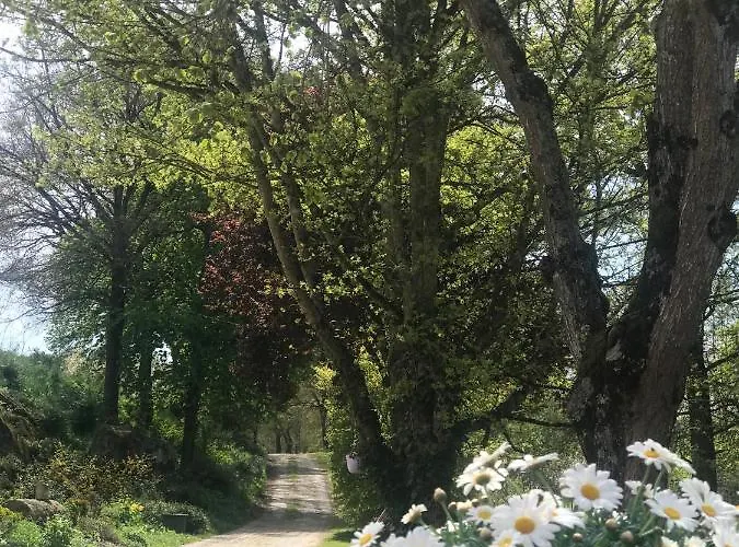 Dom wakacyjny Moulin De Rochoux - Puy Du Fou Saint-Clementin