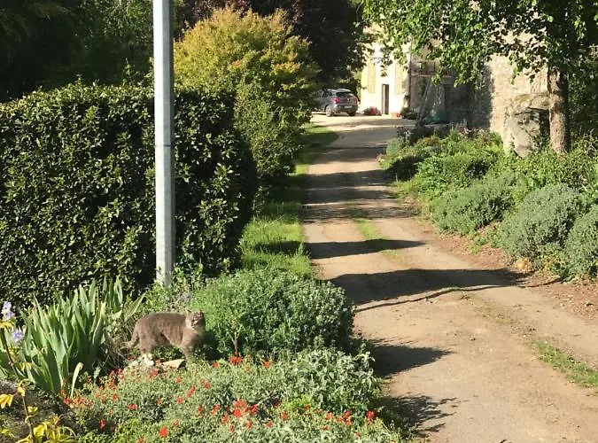 Moulin De Rochoux - Puy Du Fou