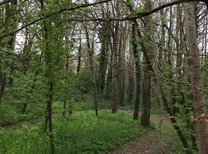 Moulin De Rochoux - Puy Du Fou Dom wakacyjny *